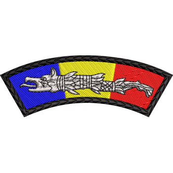 Patch-uri militare  / EMBLEMA CAP DACIC TRICOLOR 1